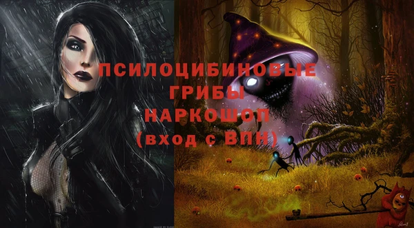 эйфоретик Медвежьегорск